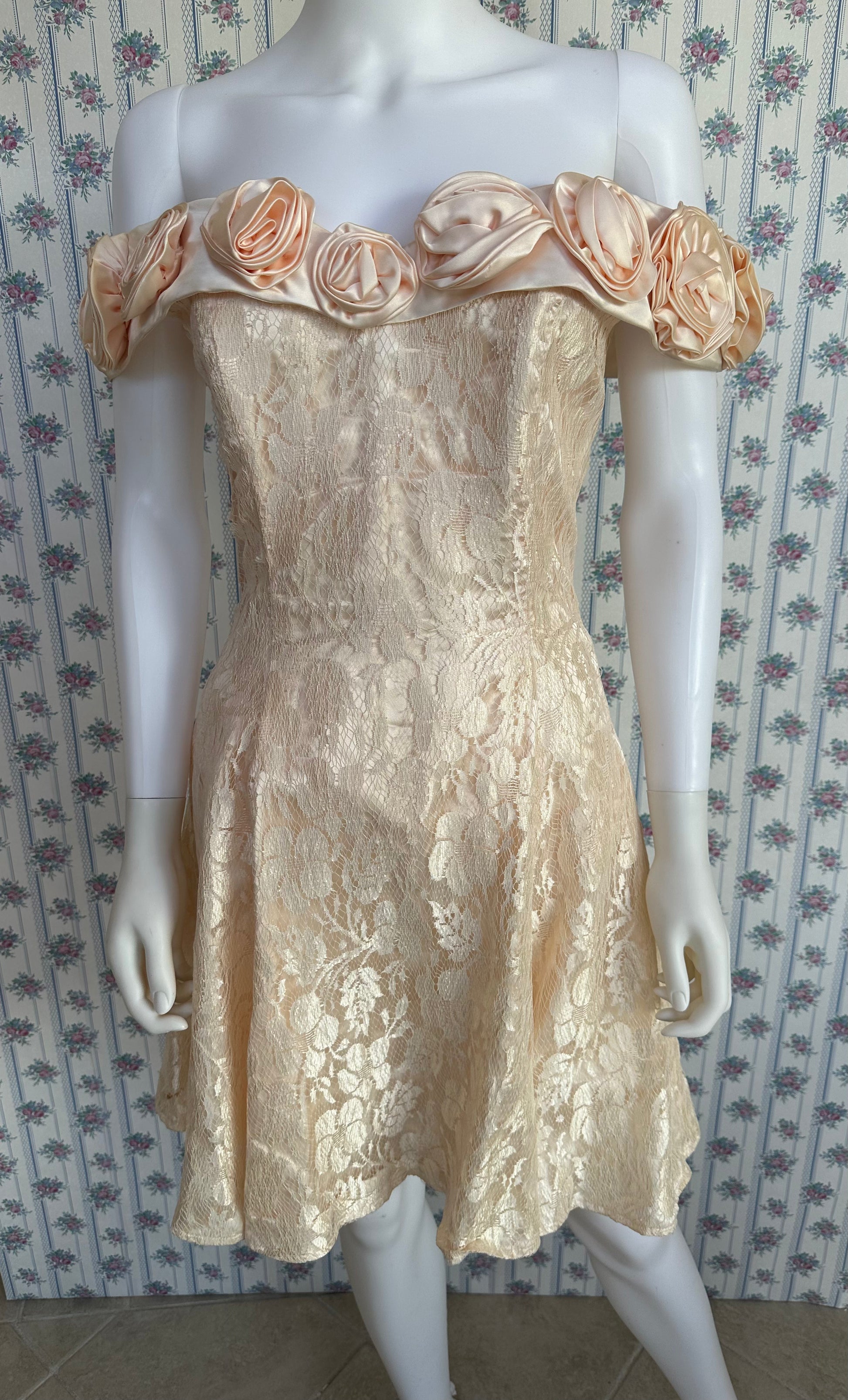 Betsy & Adam Vintage Rose Dress Highways 26 Betsy & Adam Vintage Rose Dress Highways 26